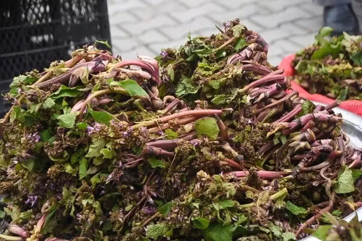 Savaşa Giden Askerlerin Vazgeçilmezi, Faydaları Saymakla Bitmez!