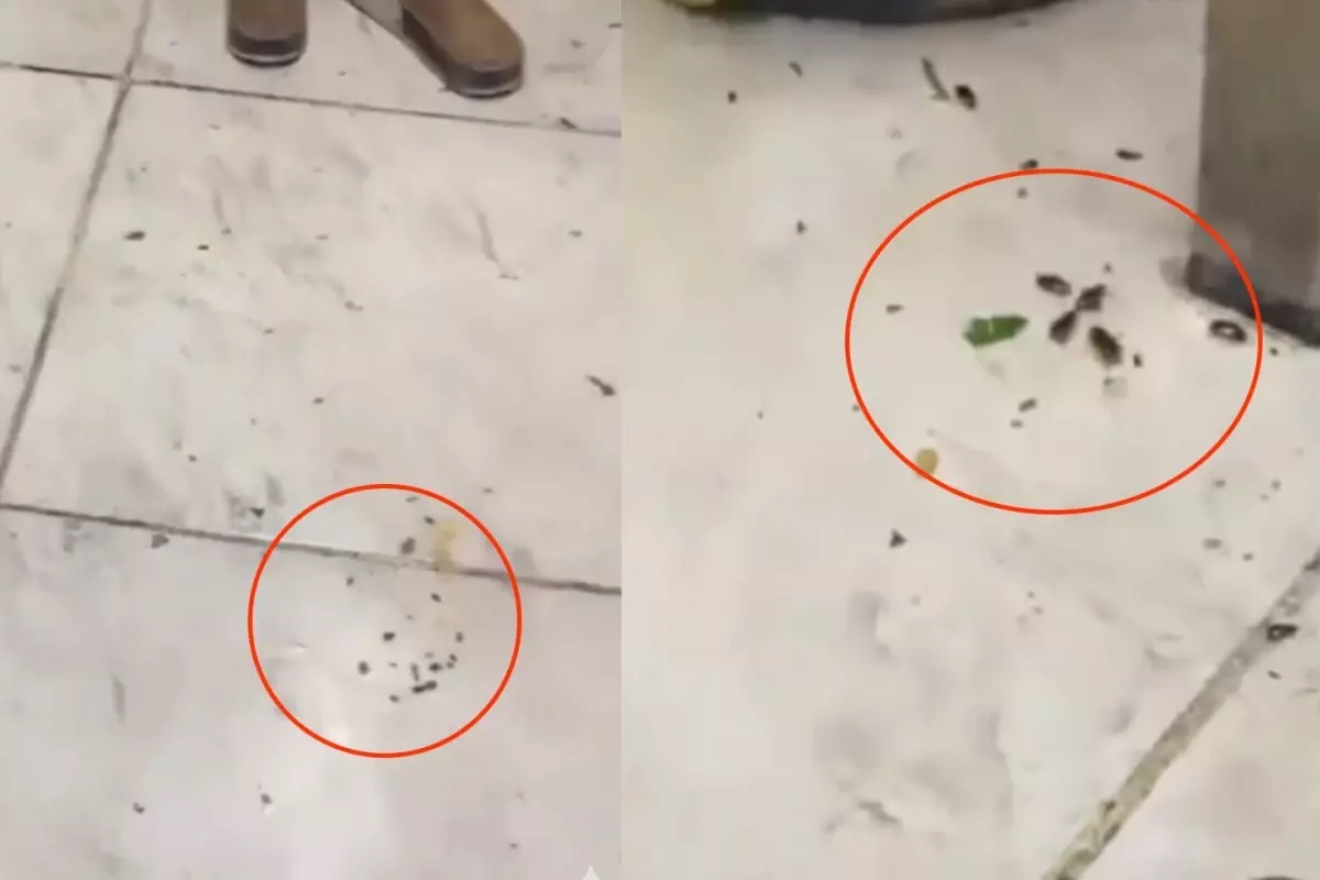 Popüler Restoranda Mide Bulandırıcı Görüntüler