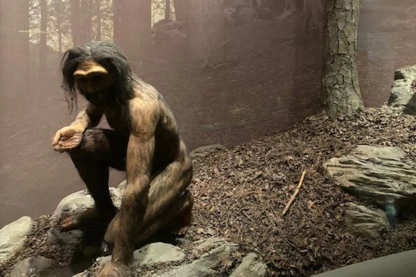 Homo erectus anneleri yavrularını nasıl büyütüyordu?