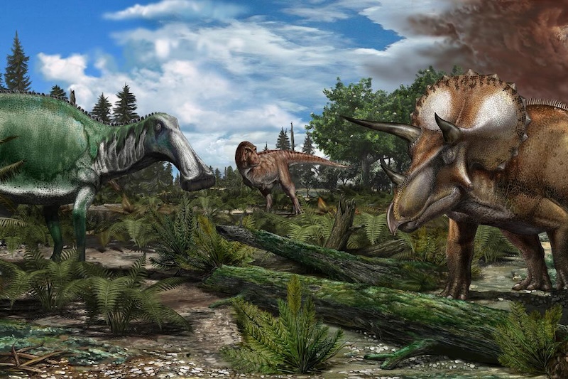 Kretase-Paleojen Yok Oluşu Öncesi: Dinozorlar Zaten Geriliyor muydu?