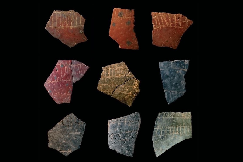 60 Bin Yıllık Devekuşu Yumurtalarında “Geometrik Dilbilgisi”