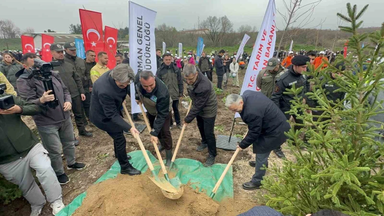 Bursa’da yanan 80 hektar orman yeniden canlandı