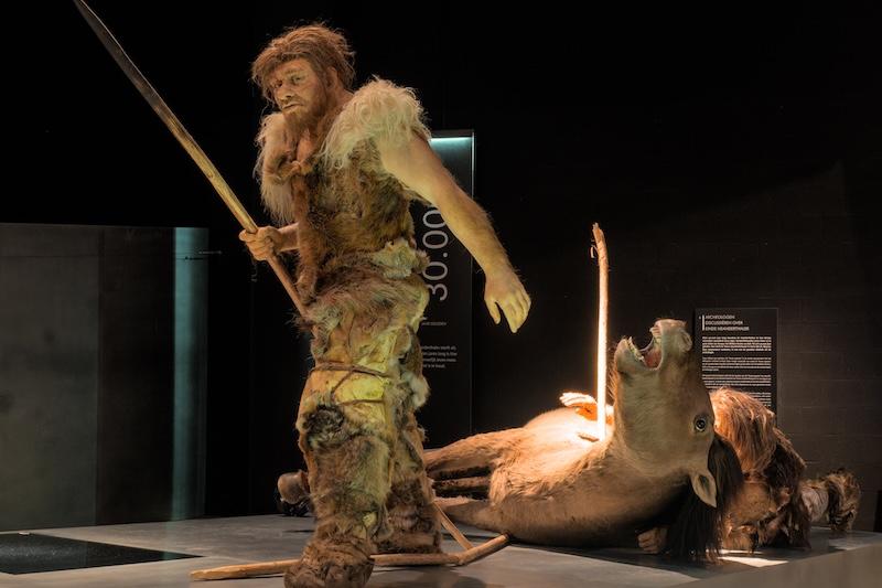 Neandertallerin İlacı: Huş Katranı