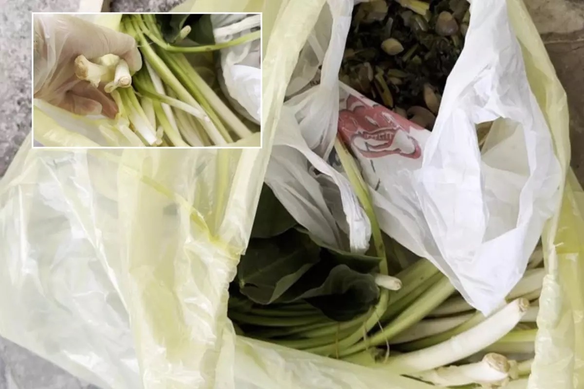 Doktor, pazardan aldığı yiyeceği ağzına alır almaz zehirlendi ve fenalaştı.