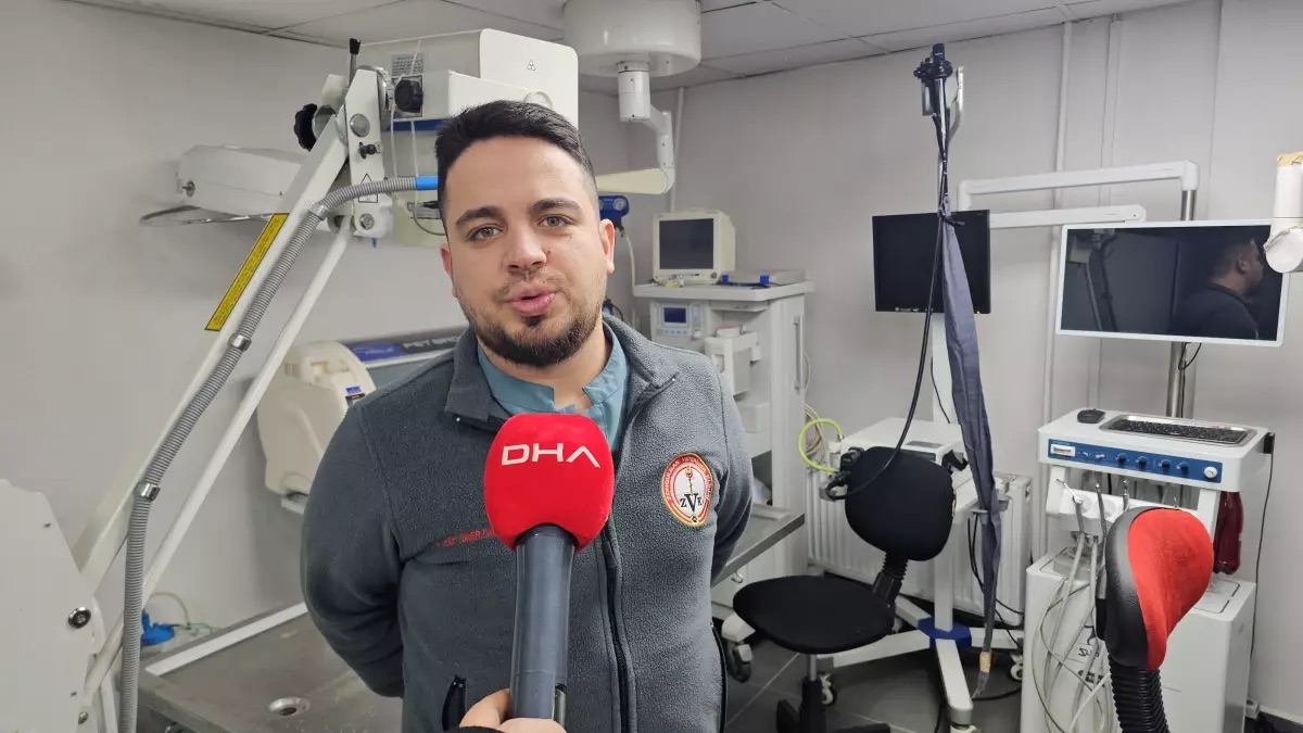 Kanserli Bir Köpek Zonguldak’ta Tedavi Edildi.