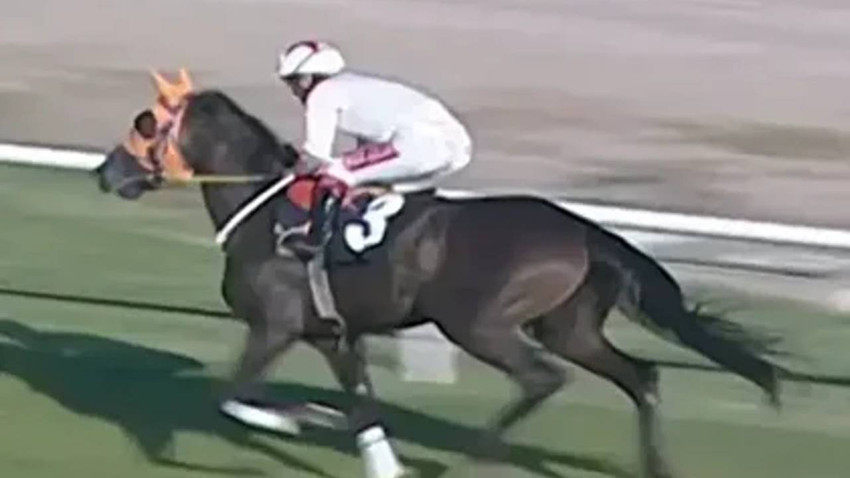 Mersin’deki “Kavurma” Skandalı İngiliz Basınında: Şampiyon Yarış Atı Kesilip Satılmış