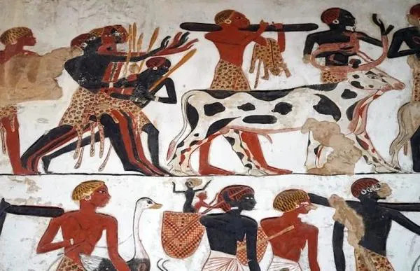 4.000 Yıllık İskeletler, Antik Nubia’da Baş Kayışıyla Yük Taşıma Geleneğini Ortaya Koydu