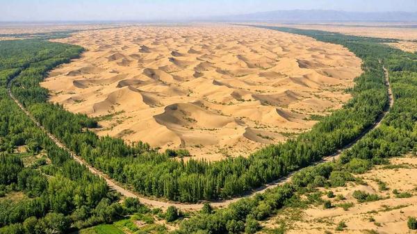 Taklamakan’ın Çevresinde Yükselen Yeşil Hat: 50 Yıllık Proje Karbon Tutmaya Başladı