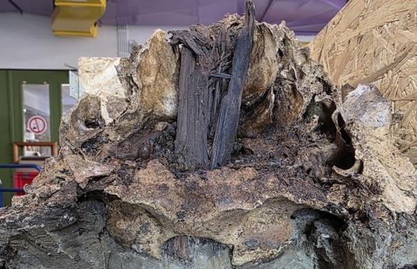 Arkeologlar 10.500 Yıllık Kazığa Geçirilmiş Yaban Öküzü Kafatası Keşfetti