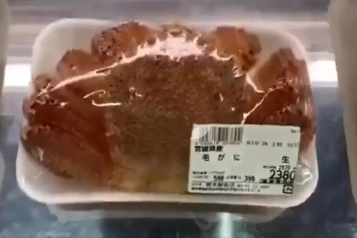 Tezgahtan Kaçmaya Çalışan Yengeç Kamerada