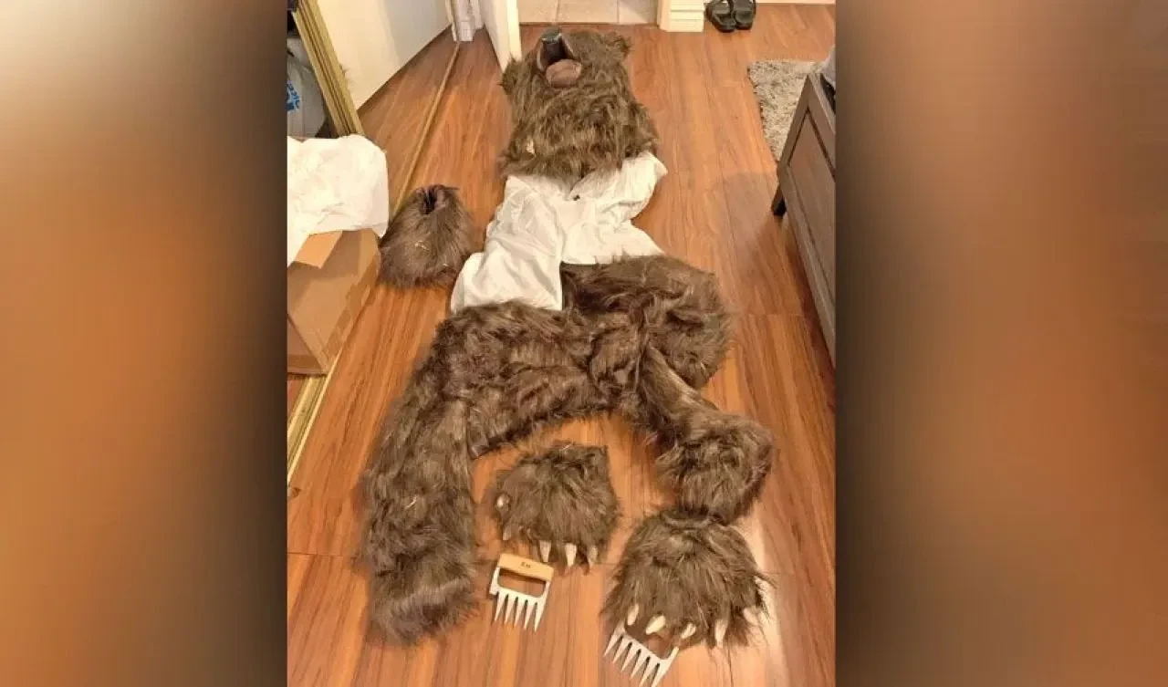 Ayı Kostümüyle Sigorta Dolandırıcılığı