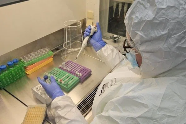 2.500 Yıllık Kalıntılarda Şaşırtan Keşif: Herpes Virüsü İnsan DNA’sına Yerleşmiş