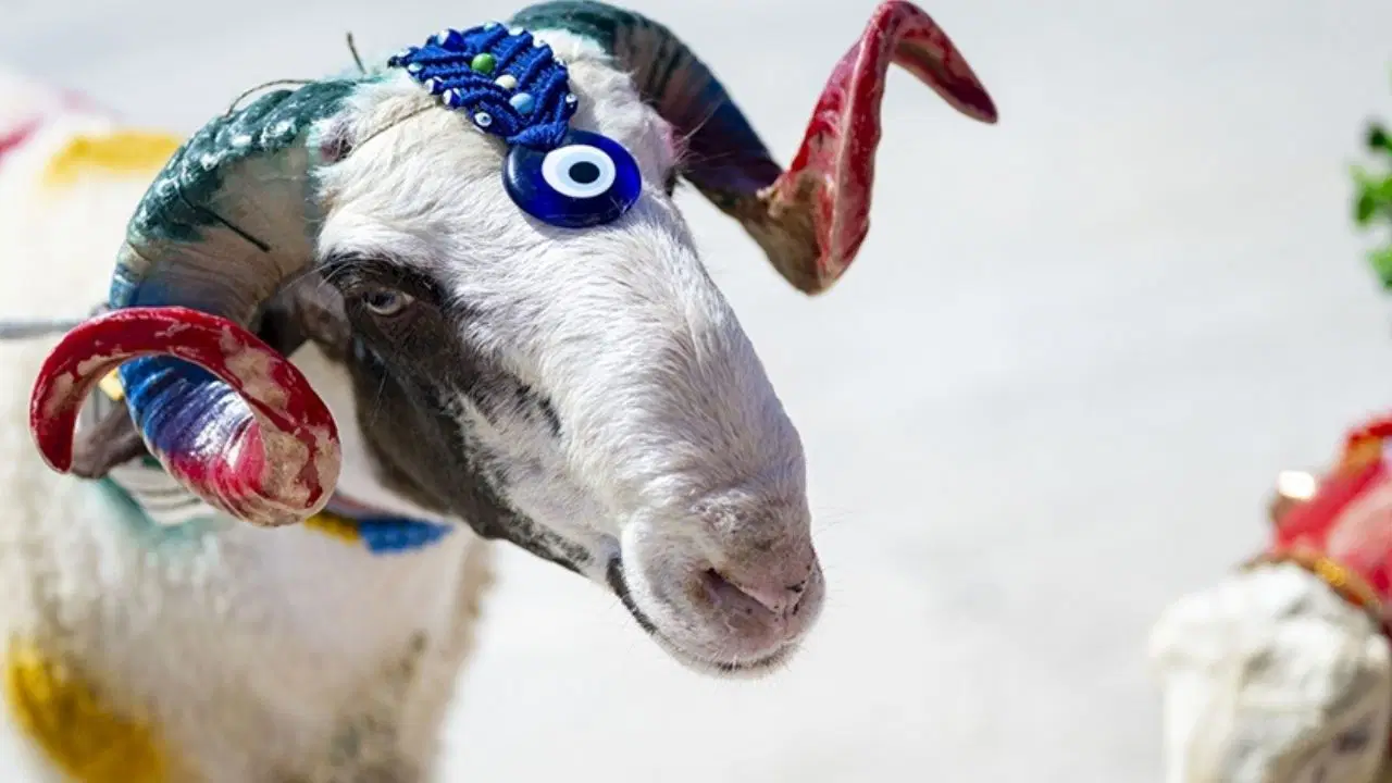 2026 Kurban Bayramı Takvimi Açıklandı: Bayram Ne Zaman Başlıyor, Tatil Kaç Gün Sürecek?