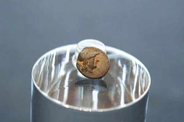 Troya’da basılan antik sikke Berlin’de bulundu: İlk Yunan eseri kayıtlara geçti