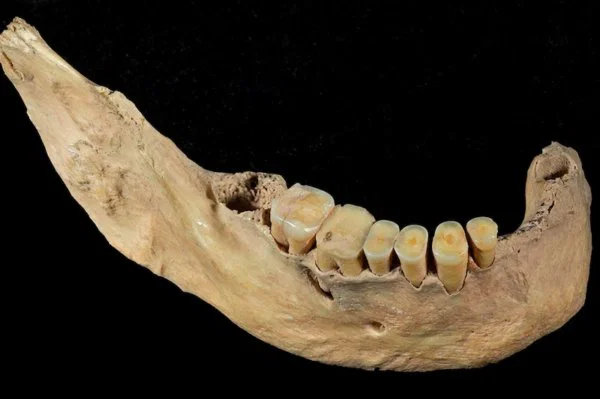 Kuzey Doğu Asya’da daha önce bilinmeyen bir insan soyu ortaya çıkarıldı