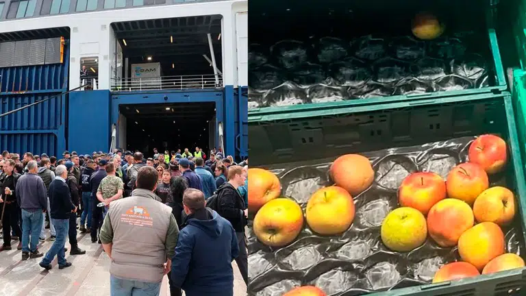 Midilli’de Şap Salgını Krizi: Gıda Tedariki Aksadı, Hayvancılık Sektörü Alarmda