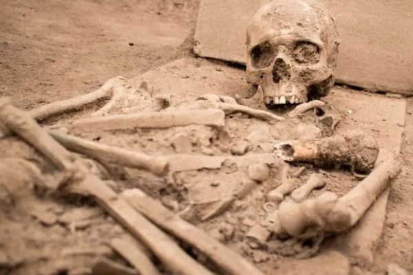 Kemikler Konuşuyor, Tarih Değişiyor: Binlerce Yıllık Hastalıklar Nasıl Tespit Ediliyor?