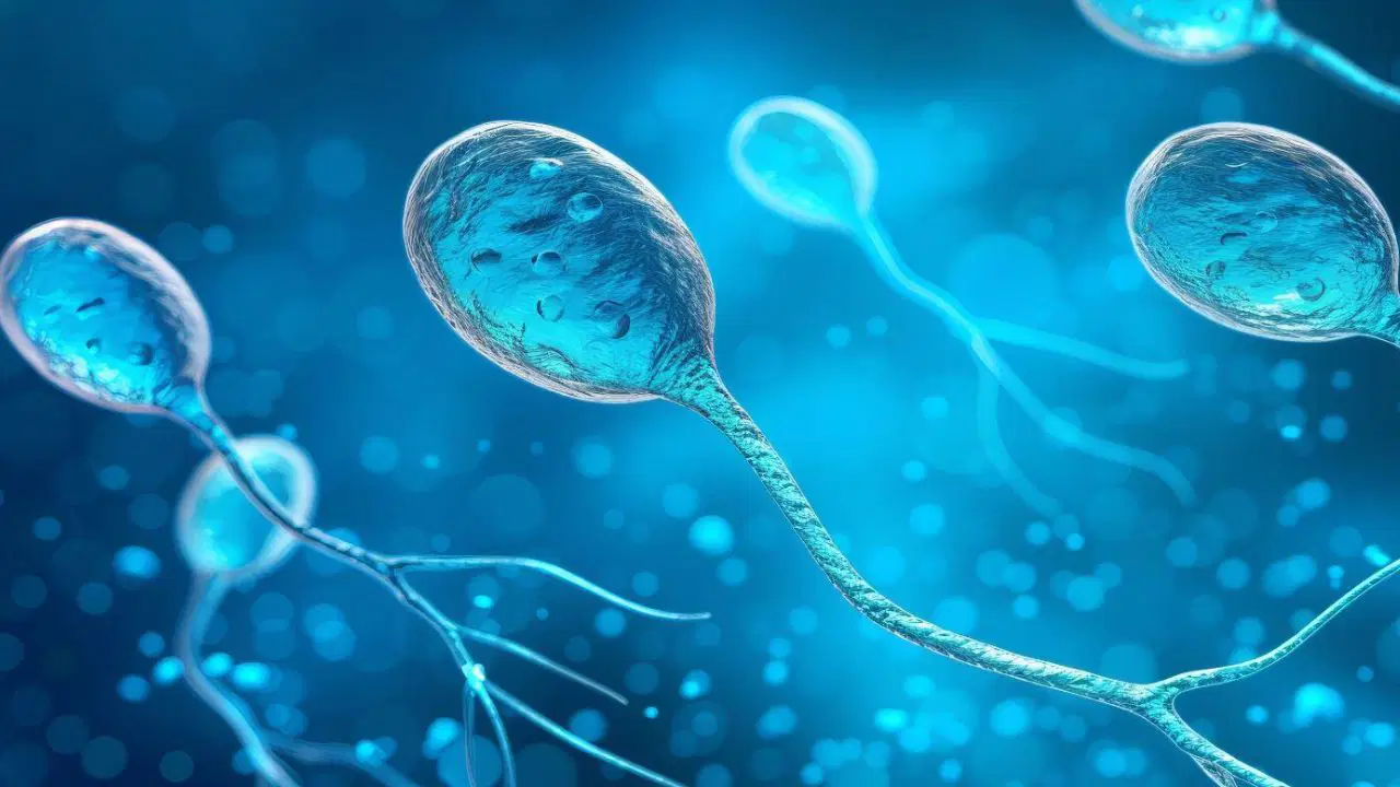 Stres Erkek Kısırlığını Sessizce Tetikliyor: Hormonal Dengesizlikte Gözden Kaçan Kritik Bağlantı