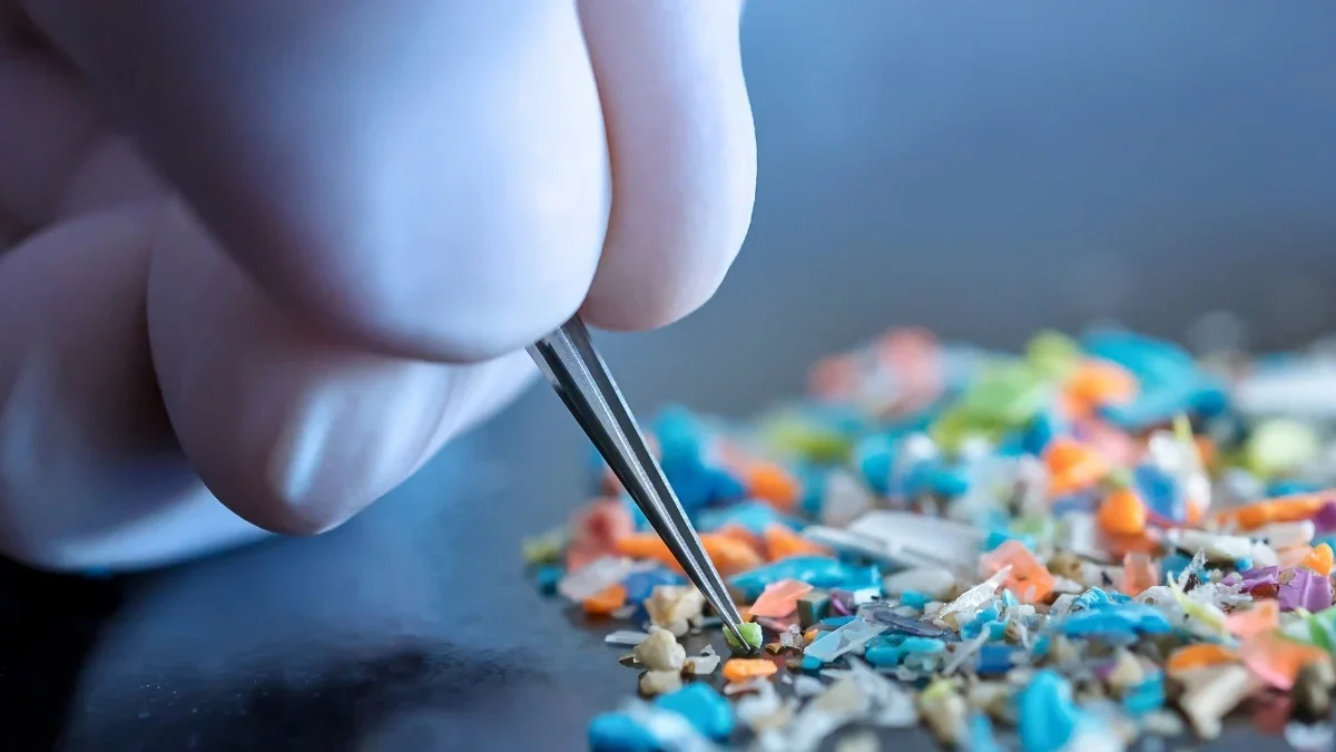 Mikroplastik Araştırmalarında Büyük Hata: Laboratuvar Eldivenleri Sonuçları Çarpıtıyor