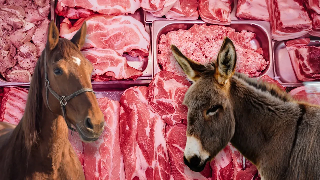 Gıda Güvenliğinde Alarm: Mersin’de “Tek Tırnaklı Et” Skandalında Yeni Gelişmeler