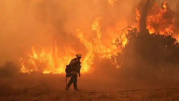 Dev iklim olayı geri dönüyor: Süper El Nino sıcaklık rekorlarını zorlayacak