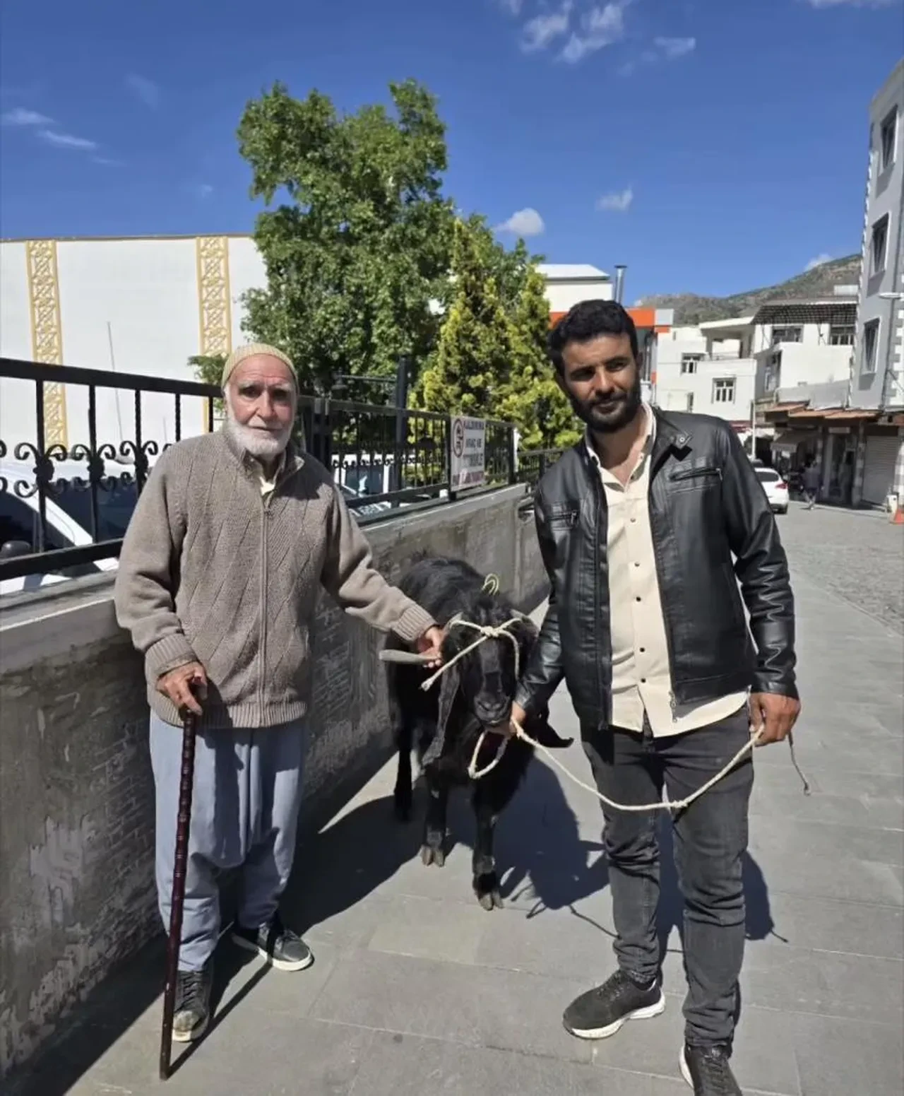 70 Kiloluk Dev Keçi Alıcısını Buldu! Fiyatı Duyanlar Şaşkına Döndü