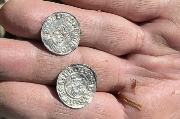 Norveç’te Binlerce Viking Sikkesi Tesadüfen Keşfedildi
